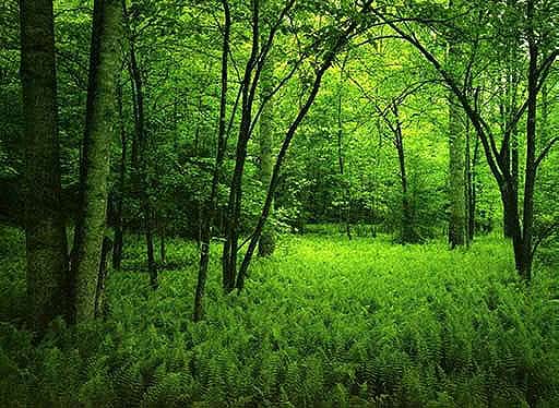 photoshop照片合成為美麗畫卷