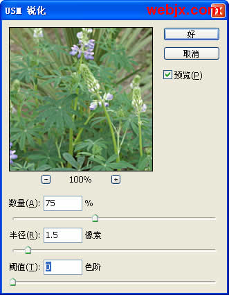 photoshop教程：花卉更加嫩綠清晰