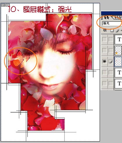 photoshop為mm數(shù)碼照片做花落花開簽名_網(wǎng)頁設(shè)計整理
