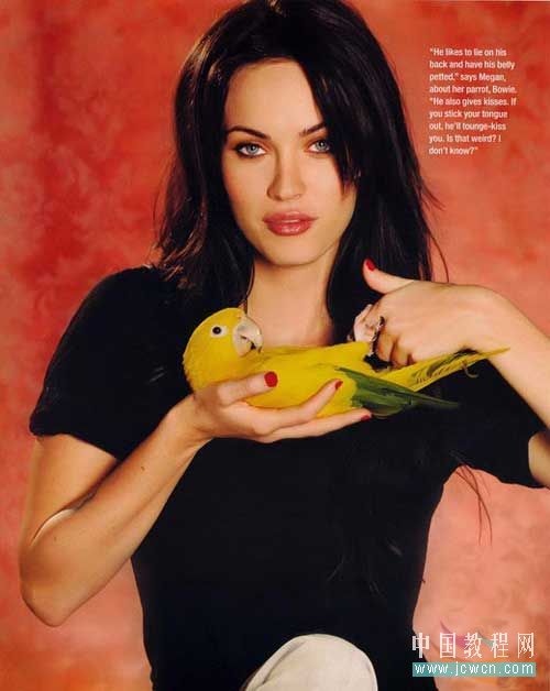 photoshop照片選區的各種制作方法_網頁制作