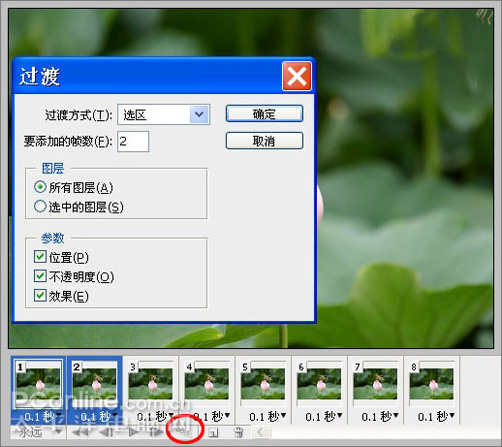 photoshop cs3教程:蜻蜓落荷花動畫 photoshop cs3教程:蜻蜓落荷花動畫