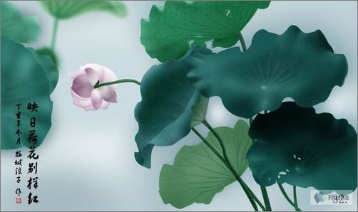 photoshop鼠繪精美荷花教程 photoshop鼠繪精美荷花教程