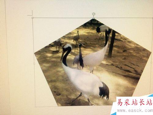 如何在word中改變插入圖片的形狀