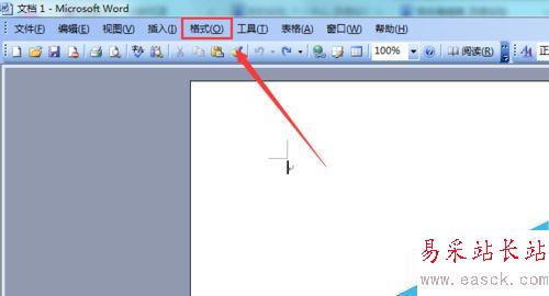 Word 2003如何設置紋理填充背景