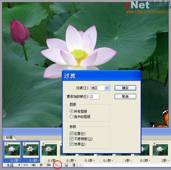 imageready蝶戀花 動畫制作教程_網(wǎng)頁設(shè)計(jì)webjx.com整理