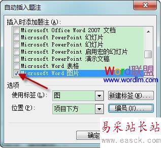 自動插入題注對話框