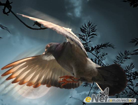 photoshop照片合成教程:月夜飛翔