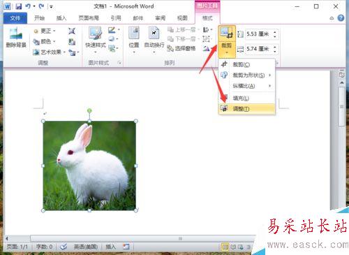 Word2010刪除圖片背景實現局部提取怎么做