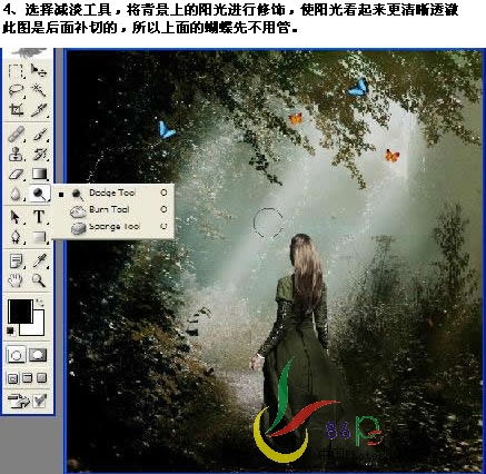 photoshop經(jīng)典合成：森林里的光照效果