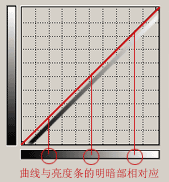 入門:圖文講解photoshop曲線的用法_webjx