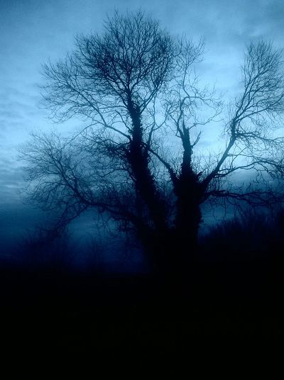 photoshop照片合成：暗夜mm天使意境