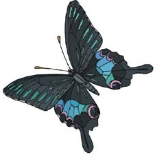 photoshop照片處理教程:真我風采展示