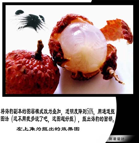 photoshop照片合成：海豹臉型的荔枝