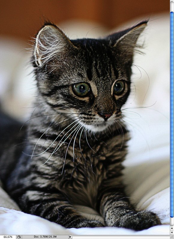 photoshop濾鏡結(jié)合混合模式讓照片變清晰_webjx.com