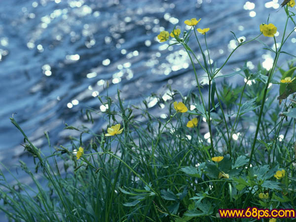 photoshop照片處理:制作粉紅色背景