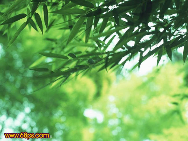 photoshop照片處理:制作粉紅色背景