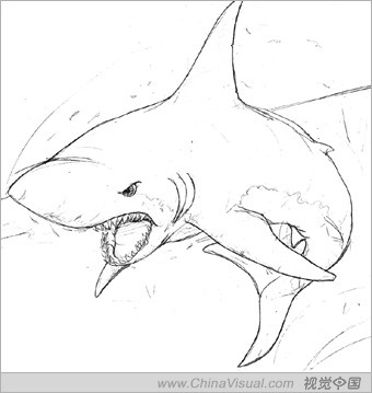 simon lissaman介紹鯊魚制作過程(草圖)網頁設計轉載整理