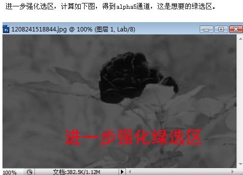 photoshop照片選區的各種制作方法