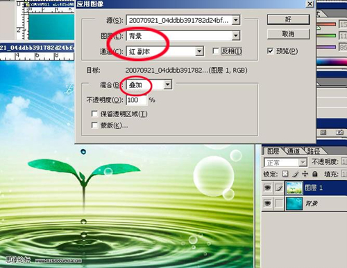 photoshop合成實例：合成水上蝴蝶