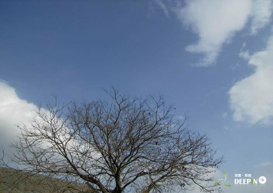 photoshop入門基礎教程：認識熟悉色階