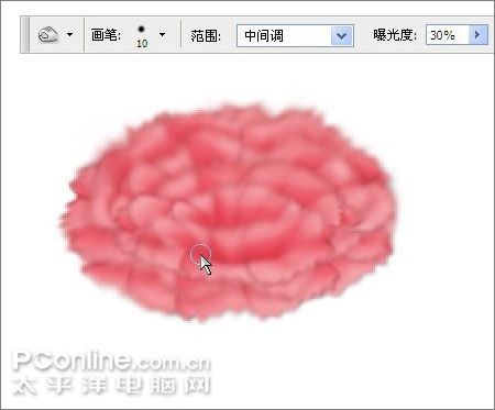 用photoshop鼠繪一支康乃馨 用photoshop鼠繪一支康乃馨