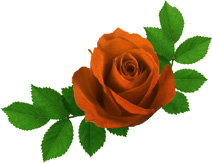 photoshop照片處理教程:真我風采展示