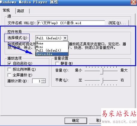 選擇Invisible