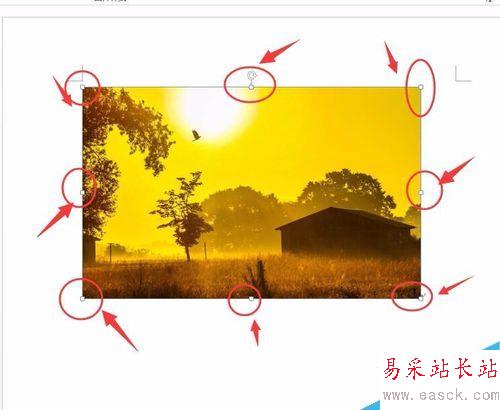 2013版本的word怎么插入圖片