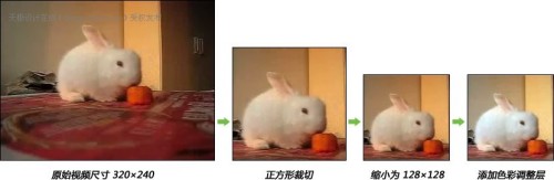 點擊放大此圖片