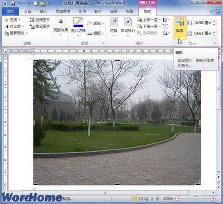 word2010中如何裁剪圖片  武林網