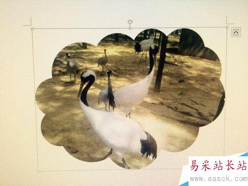 如何在word中改變插入圖片的形狀