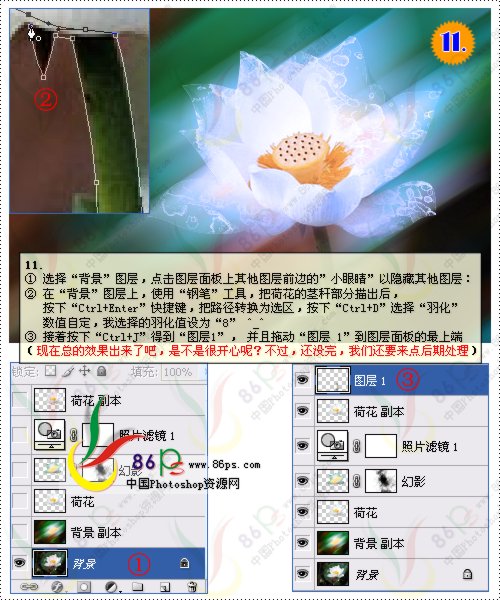 花卉照片處理 photoshop照片處理教程_網頁設計webjx.com轉載