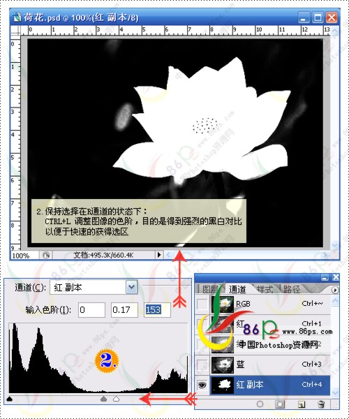 花卉照片處理 photoshop照片處理教程_網頁設計webjx.com轉載