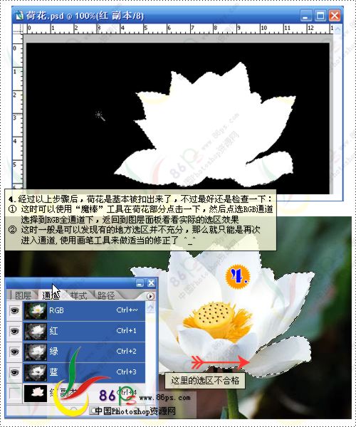 花卉照片處理 photoshop照片處理教程_網頁設計webjx.com轉載
