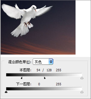 photoshop照片合成:幻境中的和平鴿 photoshop照片合成:幻境中的和平鴿