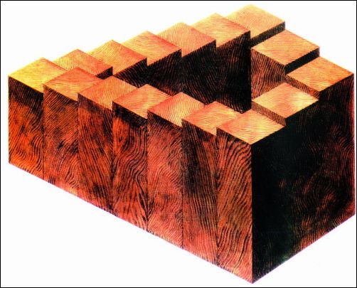 神奇悖論圖欣賞_網頁設計webjx.com網絡整理