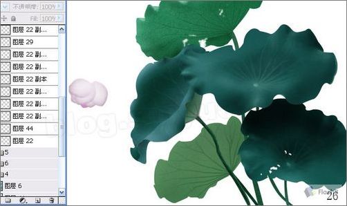 photoshop鼠繪精美荷花教程 photoshop鼠繪精美荷花教程