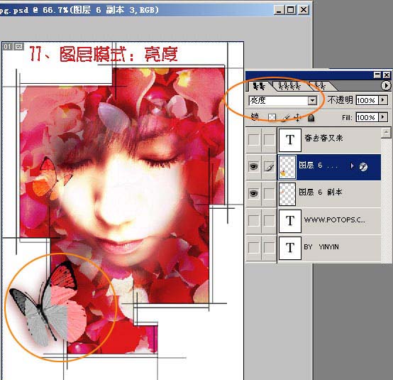photoshop為mm數(shù)碼照片做花落花開簽名_網(wǎng)頁設(shè)計整理