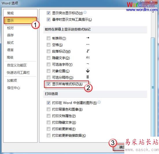 顯示所有格式標記