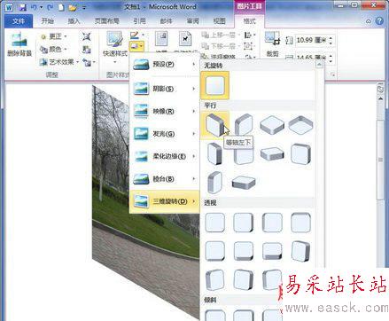 Word旋轉圖片(三)