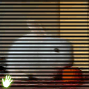 photoshop cs3導入視頻及gif動畫技巧