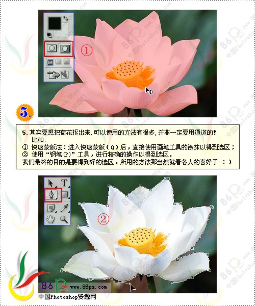 花卉照片處理 photoshop照片處理教程_網頁設計webjx.com轉載