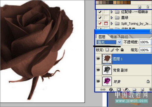 photoshop教程:制作誘人的巧克力玫瑰 photoshop教程:制作誘人的巧克力玫瑰