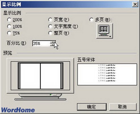 Word2003顯示比例對話框