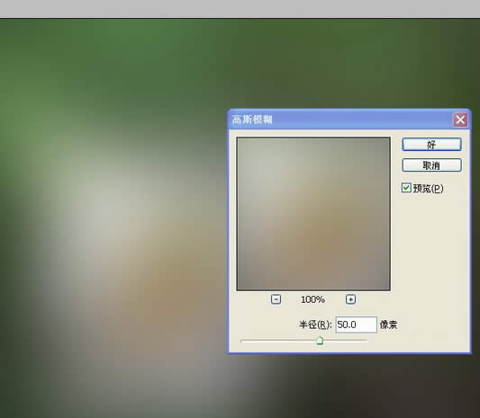 photoshop處理數(shù)碼照片的背景alt=花卉照片處理:簡化背景突出主體