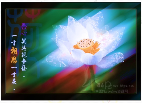 花卉照片處理 photoshop照片處理教程_網頁設計webjx.com轉載