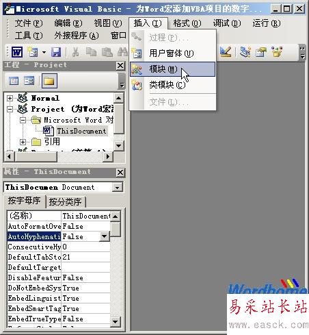 Visual Basic編輯器