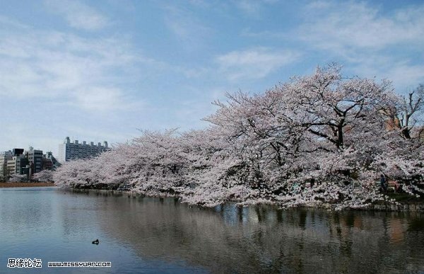 巧用ps調(diào)整工具打造夢幻世界