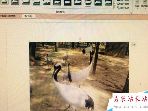 如何在word中改變插入圖片的形狀