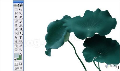 photoshop鼠繪精美荷花教程 photoshop鼠繪精美荷花教程